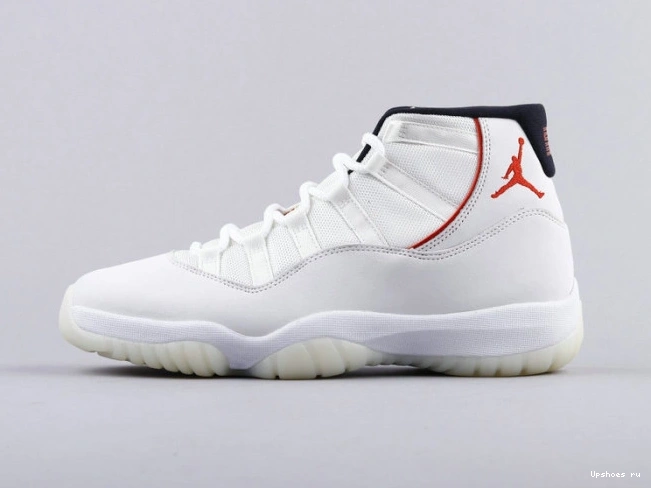 (GS) 11 Platinum Jordan Tint 378038-016 Retro  0815